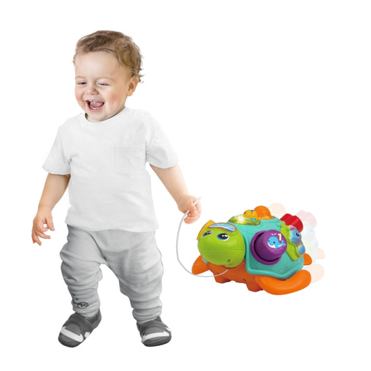 وين فن - سبين آند بول السلحفاة