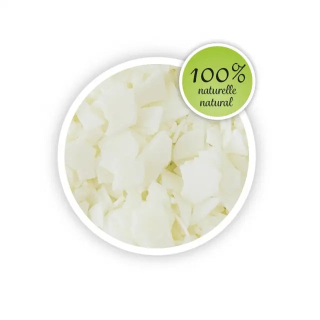 بوكي - إعادة تعبئة شموع الاستوديو الاحترافية