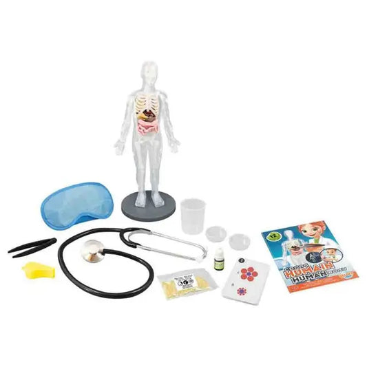 بوكي - مجموعة تعليم جسم الإنسان 12 تجربة تشريحية