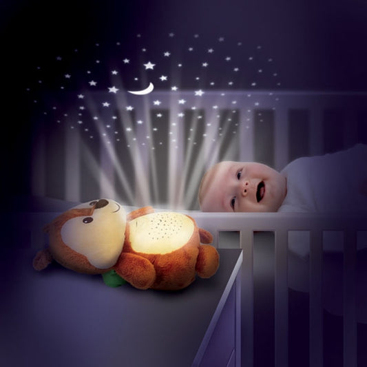 وين فن - سنجاب أضواء النجوم 2 في 1