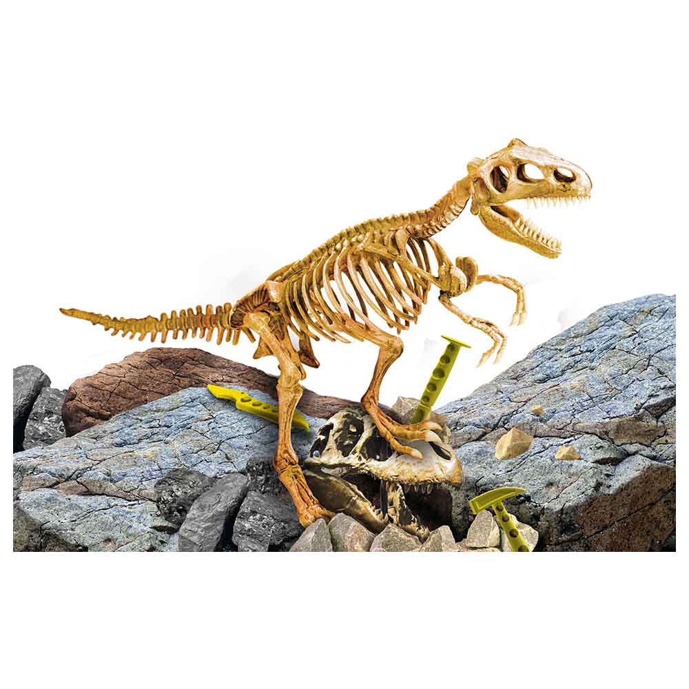 مجموعة الحفريات العملاقة تي ريكس – Super Kit T-Rex