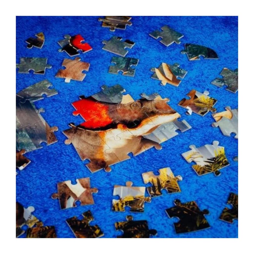 مجموعة ديناصور ترايسيراتوبس التعليمية – Dino STEM Triceratops