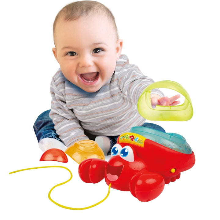 وين فن - السلطعون الهرمي الموسيقي متعدد الألوان