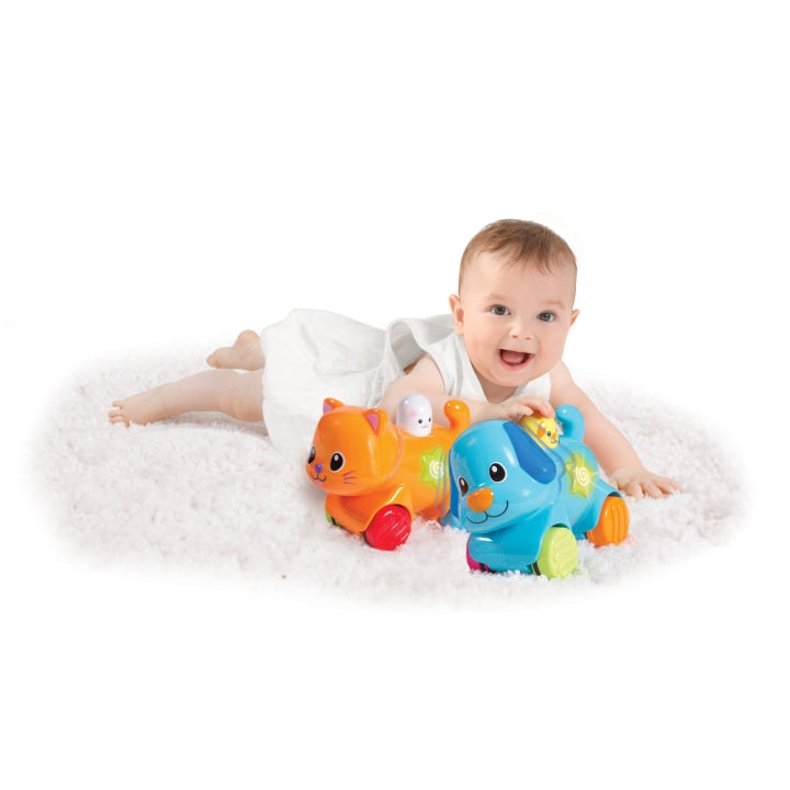 وين فن - الجرو التفاعلي