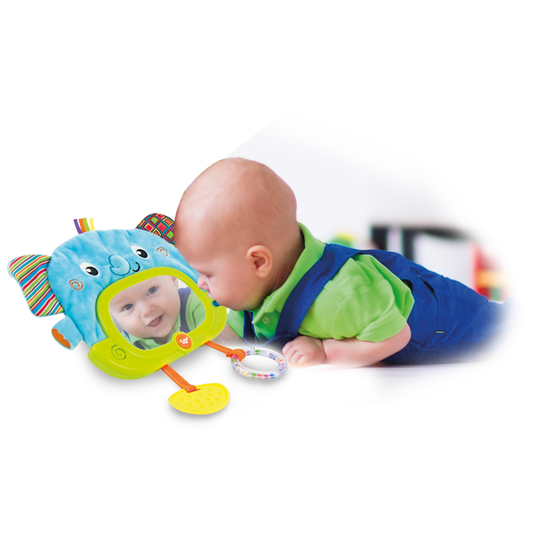 وين فن - داي آند نايت إليفانت بال وينفان