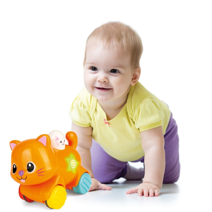 وين فن - القطة كيتن التفاعلية